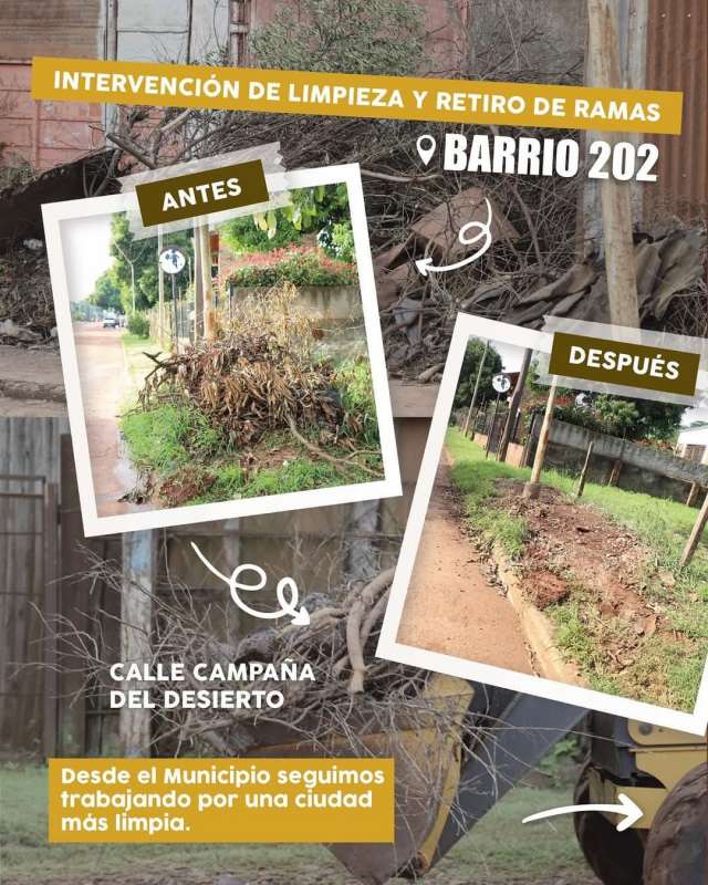 Recolección de ramas:  CADA 21 DIAS EN TU BARRIO